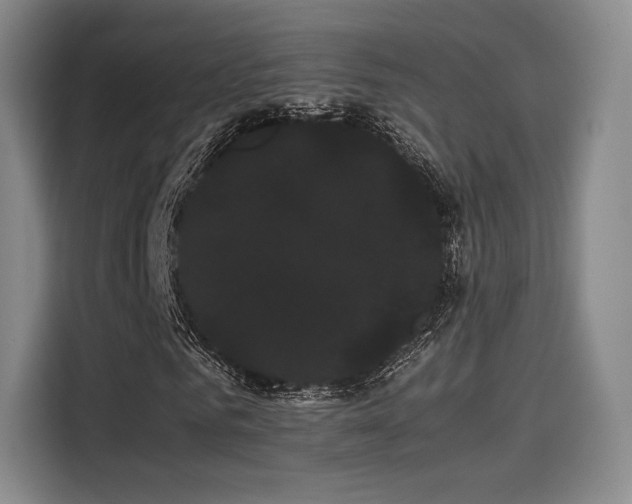 X0000114190961200910161201
