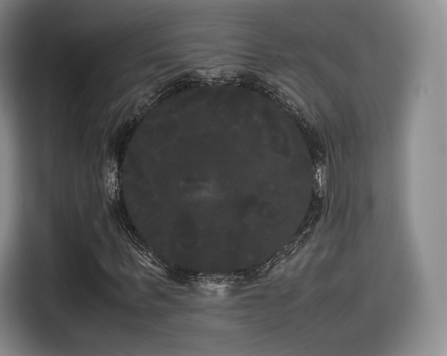 X0000114190963200910161201