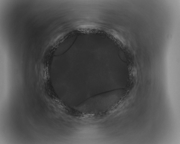 X0000114190965200910161201