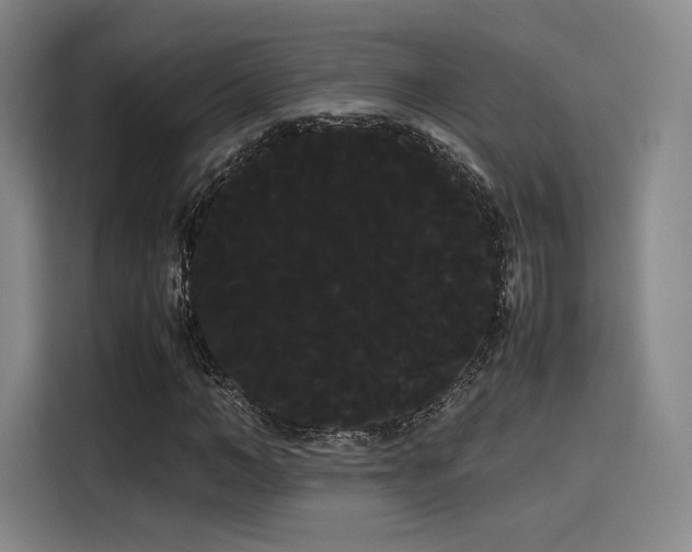 X0000114190966200910161201