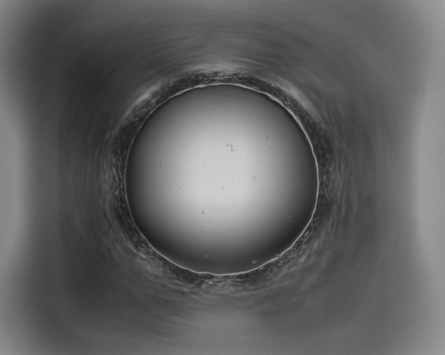 X0000114190967200910161201