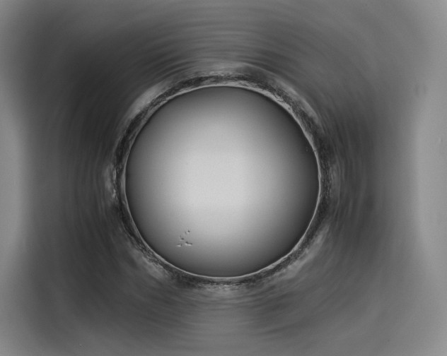X0000114190970200910161201