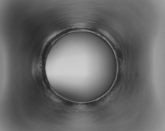 X0000114190971200910161201