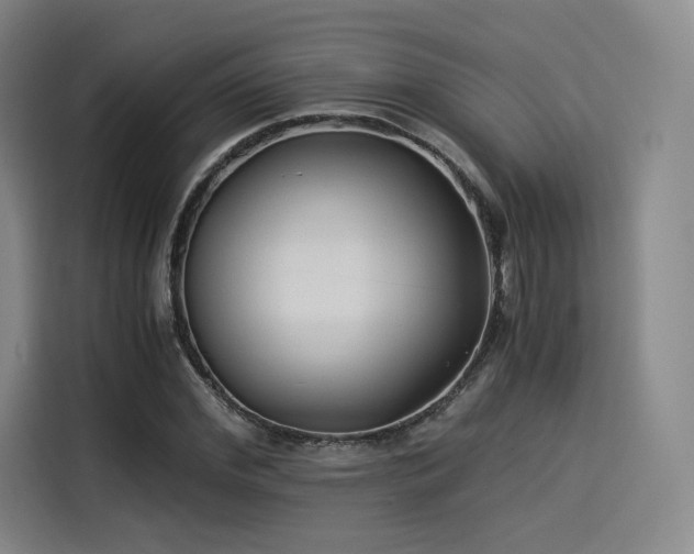 X0000114190972200910161201