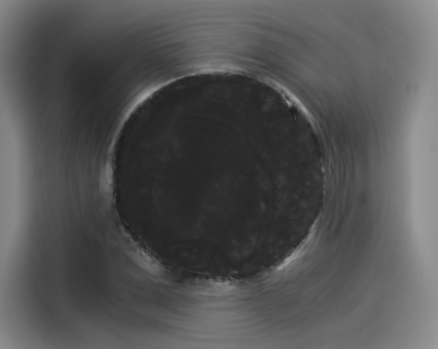 X0000114190975200910161201