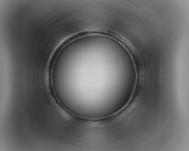 X0000114190976200910161201