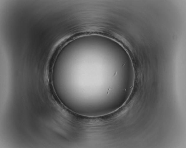 X0000114190979200910161201