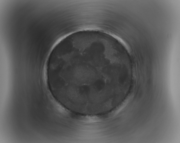 X0000114190983200910161200