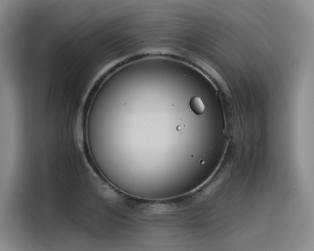 X0000114190984200910161200