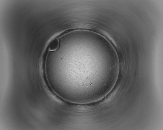 X0000114190987200910161200