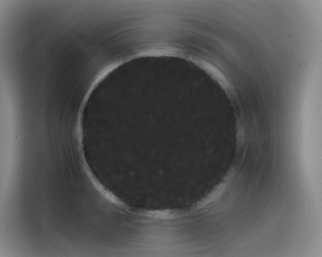 X0000114190990200910161200