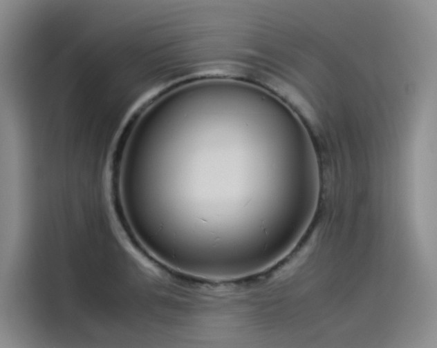 X0000114190991200910161200