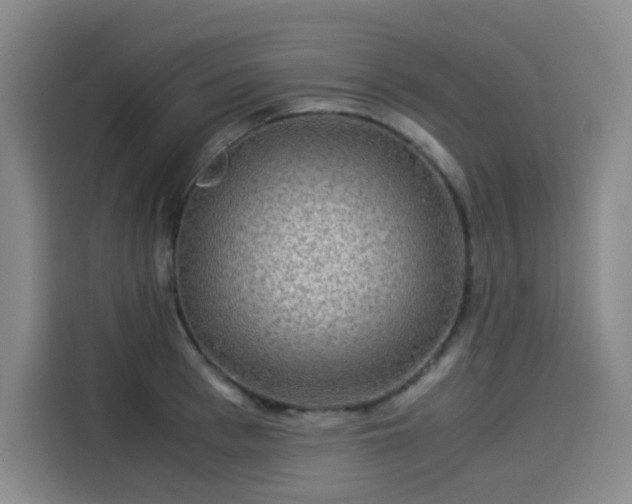X0000114190993200910161200