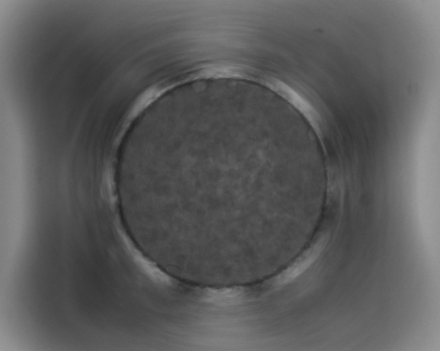 X0000114190997200910161200