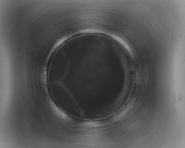 X0000114190998200910161200