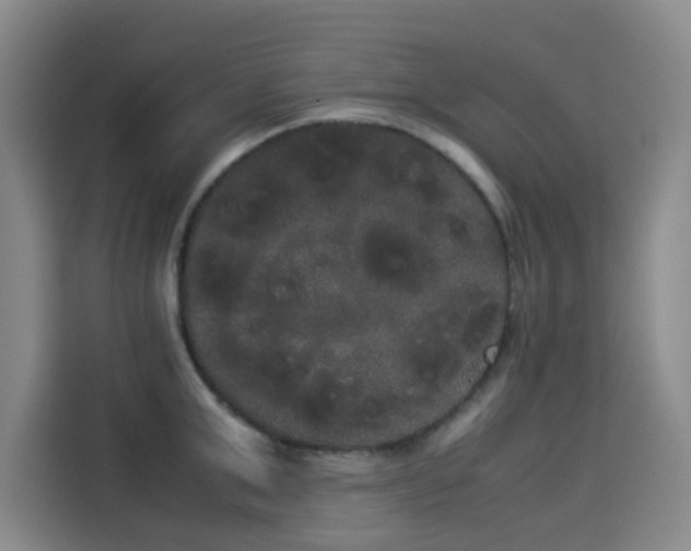 X0000114190999200910161200
