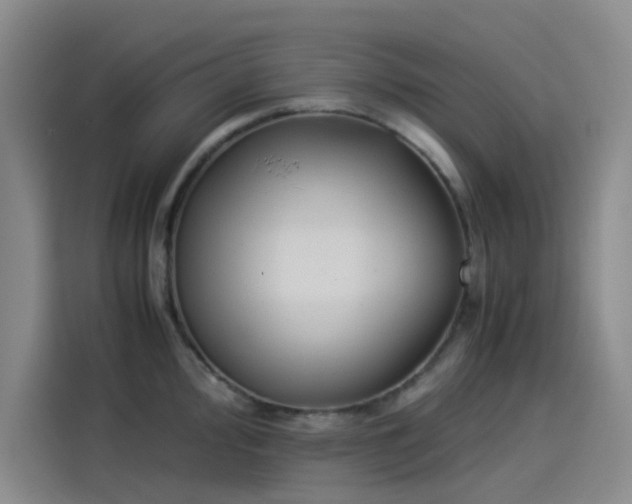 X0000114191000200910161200