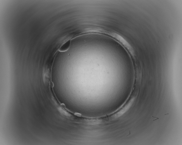 X0000114191001200910161200