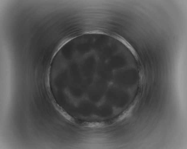 X0000114191002200910161200