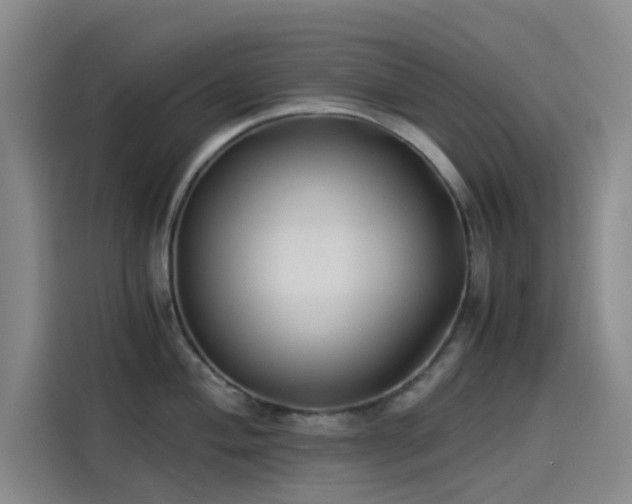 X0000114191004200910161200