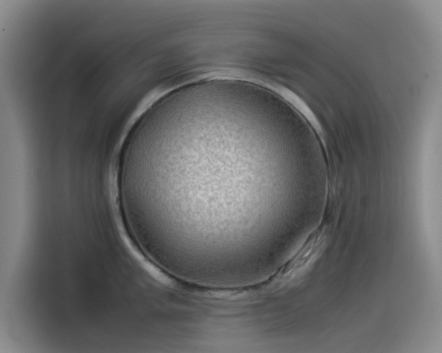 X0000114191005200910161200