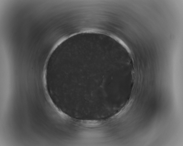 X0000114191007200910161200