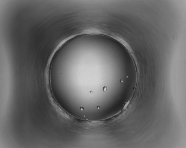 X0000114191008200910161200