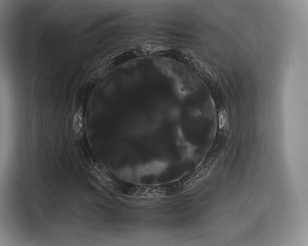 X0000114191011200910161159