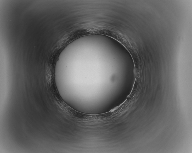 X0000114191012200910161159