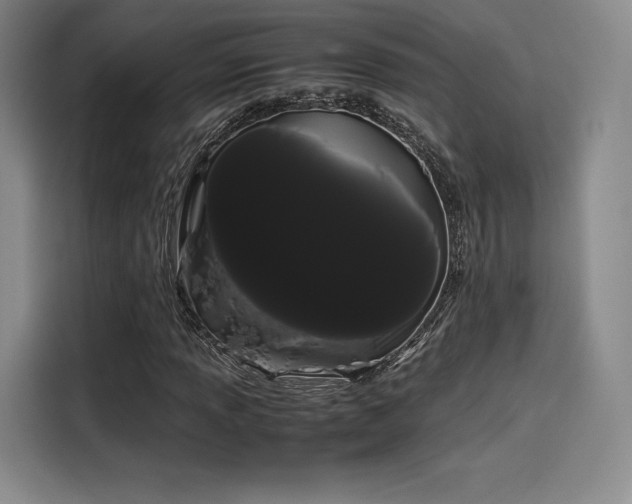 X0000114191013200910161159