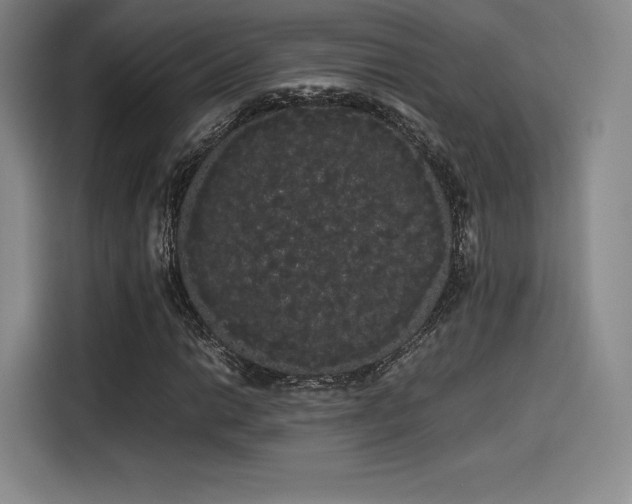 X0000114191014200910161159