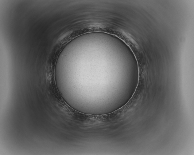 X0000114191015200910161159