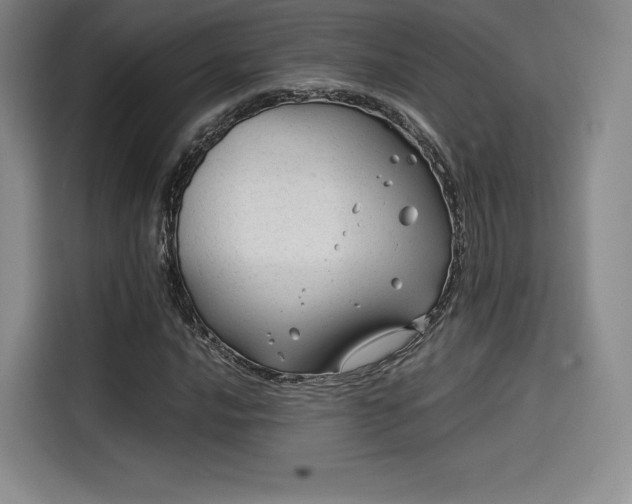 X0000114191016200910161159