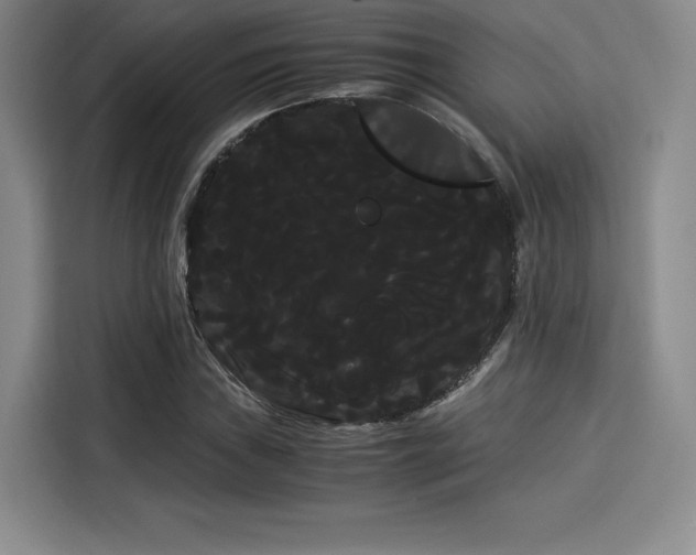 X0000114191019200910161200