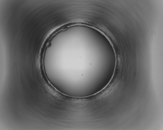 X0000114191020200910161200