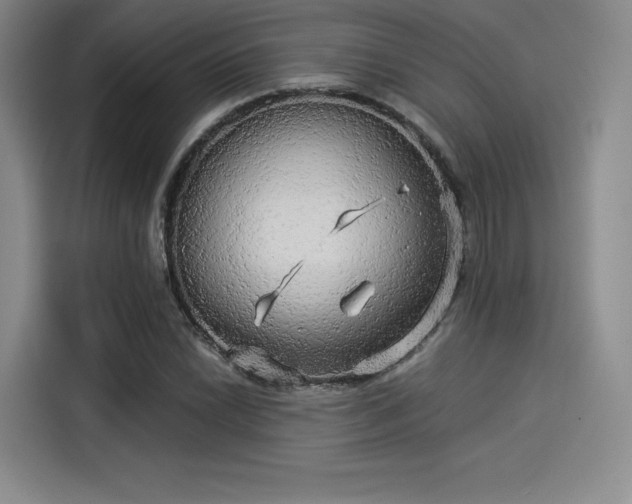 X0000114191022200910161200