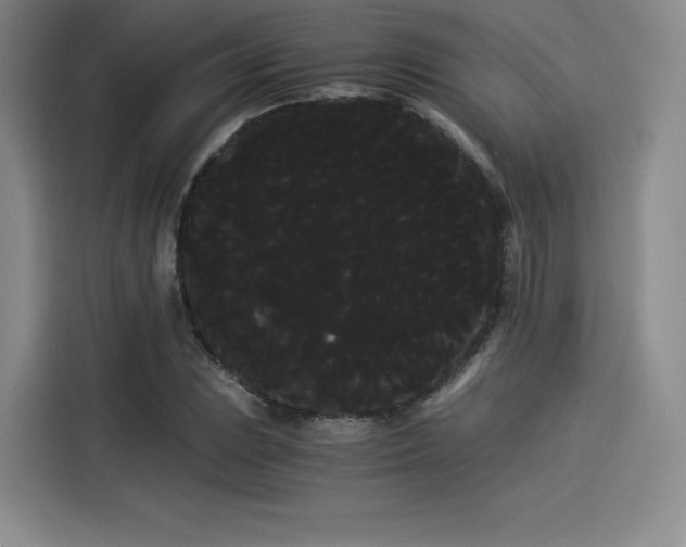 X0000114191023200910161200