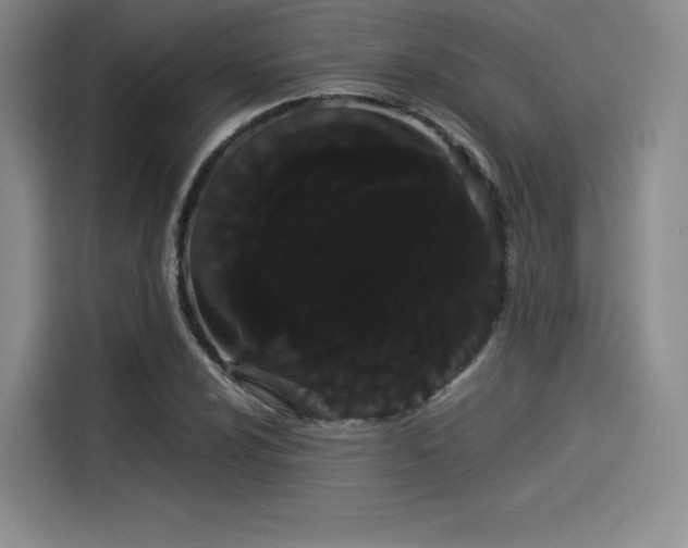 X0000114191024200910161200