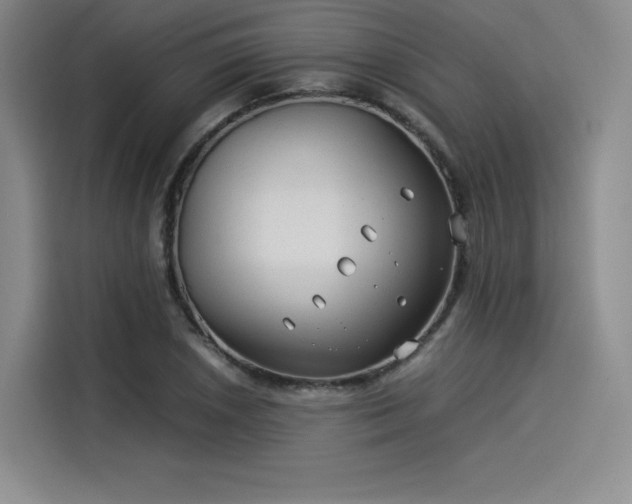 X0000114191026200910161200