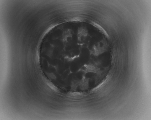 X0000114191027200910161200