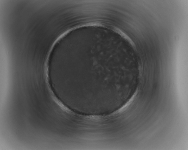 X0000114191029200910161200