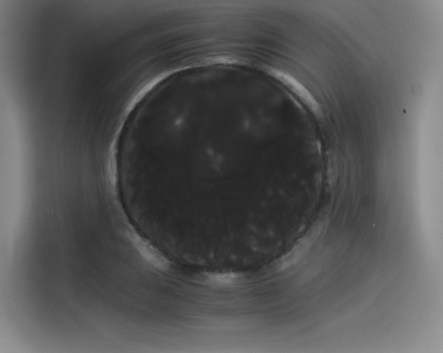 X0000114191031200910161200