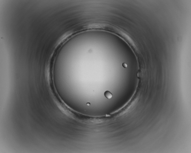 X0000114191034200910161200