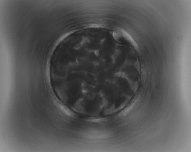 X0000114191035200910161200