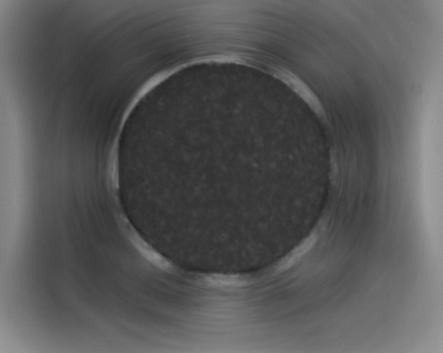X0000114191036200910161200