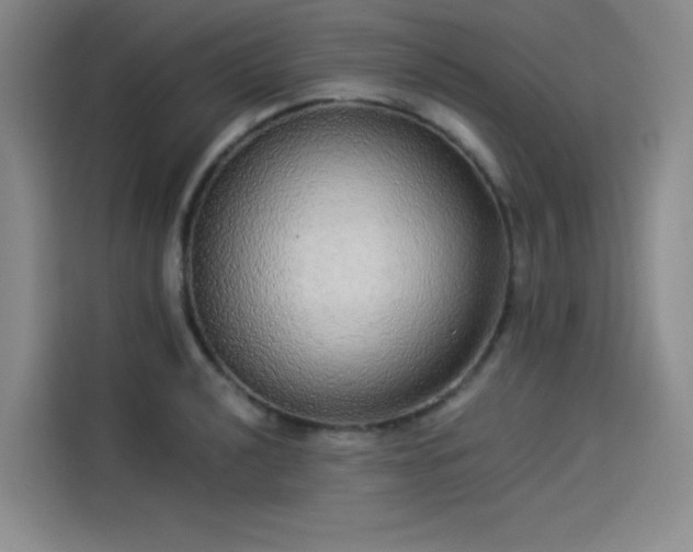 X0000114191040200910161200