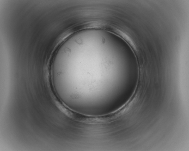 X0000114191042200910161200