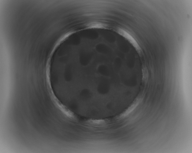 X0000114191043200910161200