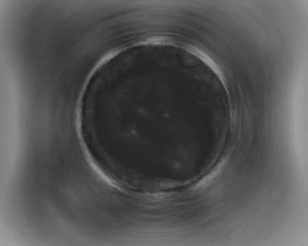 X0000114191045200910161200