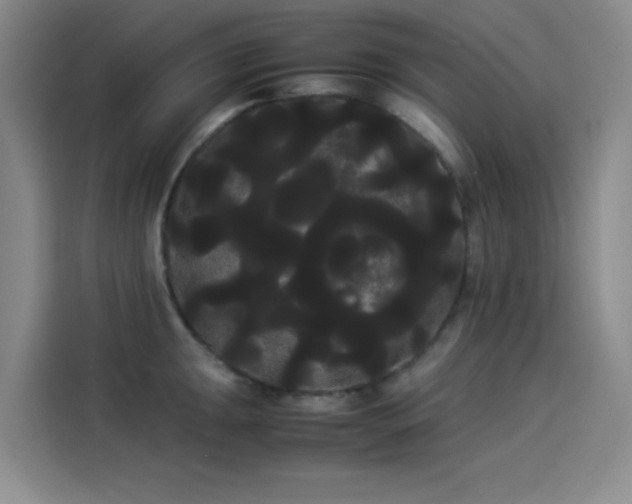 X0000114191047200910161200
